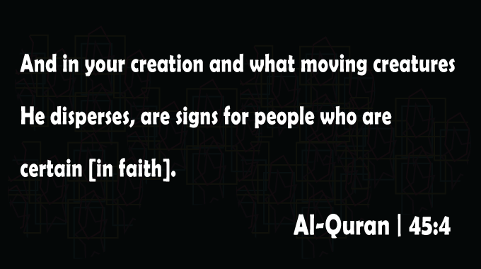 Creation Signs - Quran Quotes